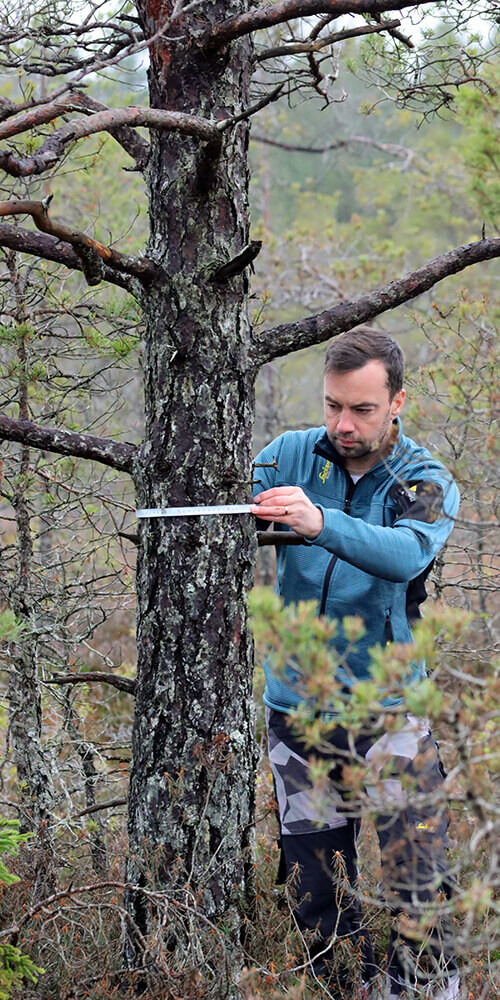 Seikland aiakujundaja Virgo Hallik.